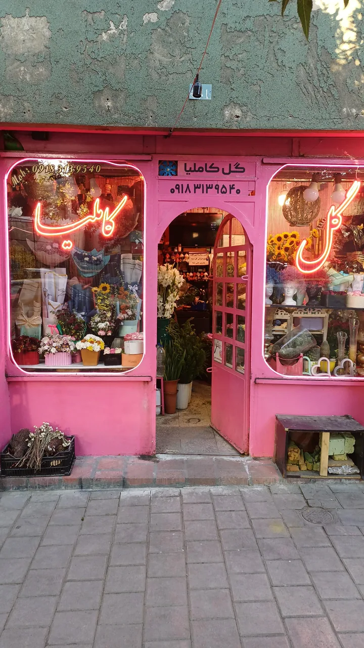 گل فروشی کاملیا