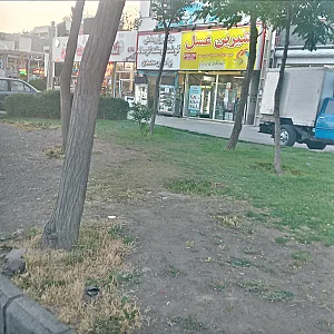 مواد غذایی مسعود