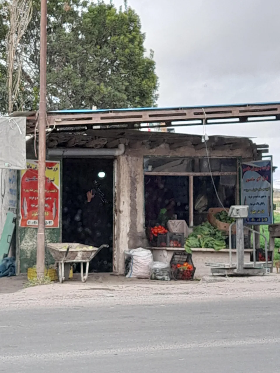 باغ سبزی بدری و مهری