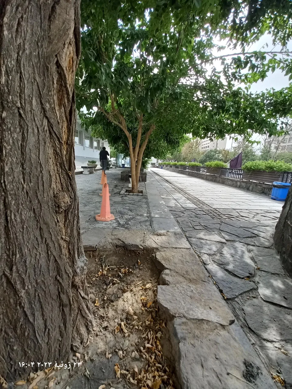 بیمارستان بوعلی - تصویر 5