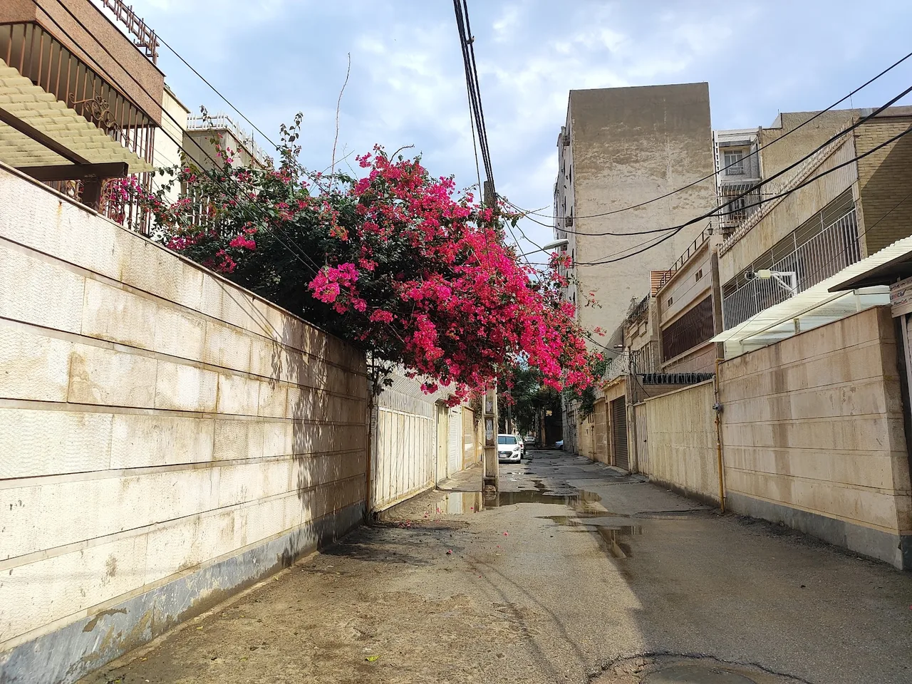 مشاور املاک علم باز - تصویر 3
