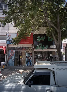 توس پیچ برتر