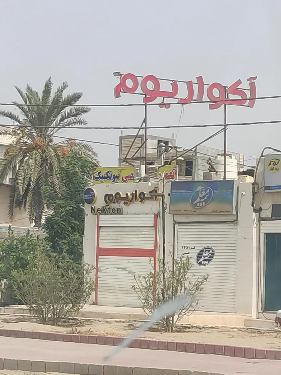 فروشگاه آکواریوم نکتون