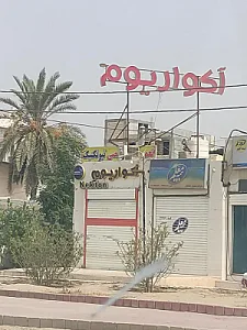 فروشگاه آکواریوم نکتون