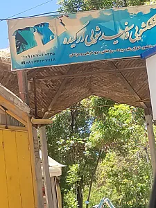 خشکشویی ارکیده