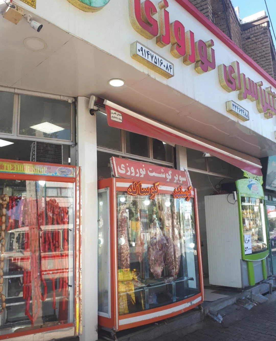 پروتیین نوروزی
