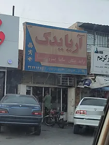 آریا یدک