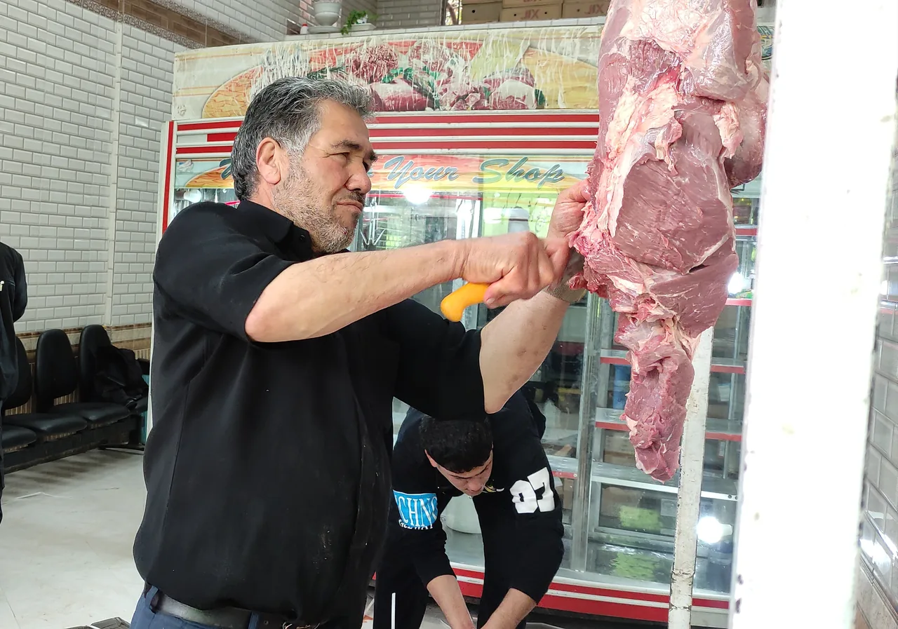 فرآورده گوشتی فرزانه - تصویر 6