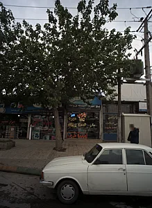 پیچ و مهره پارس