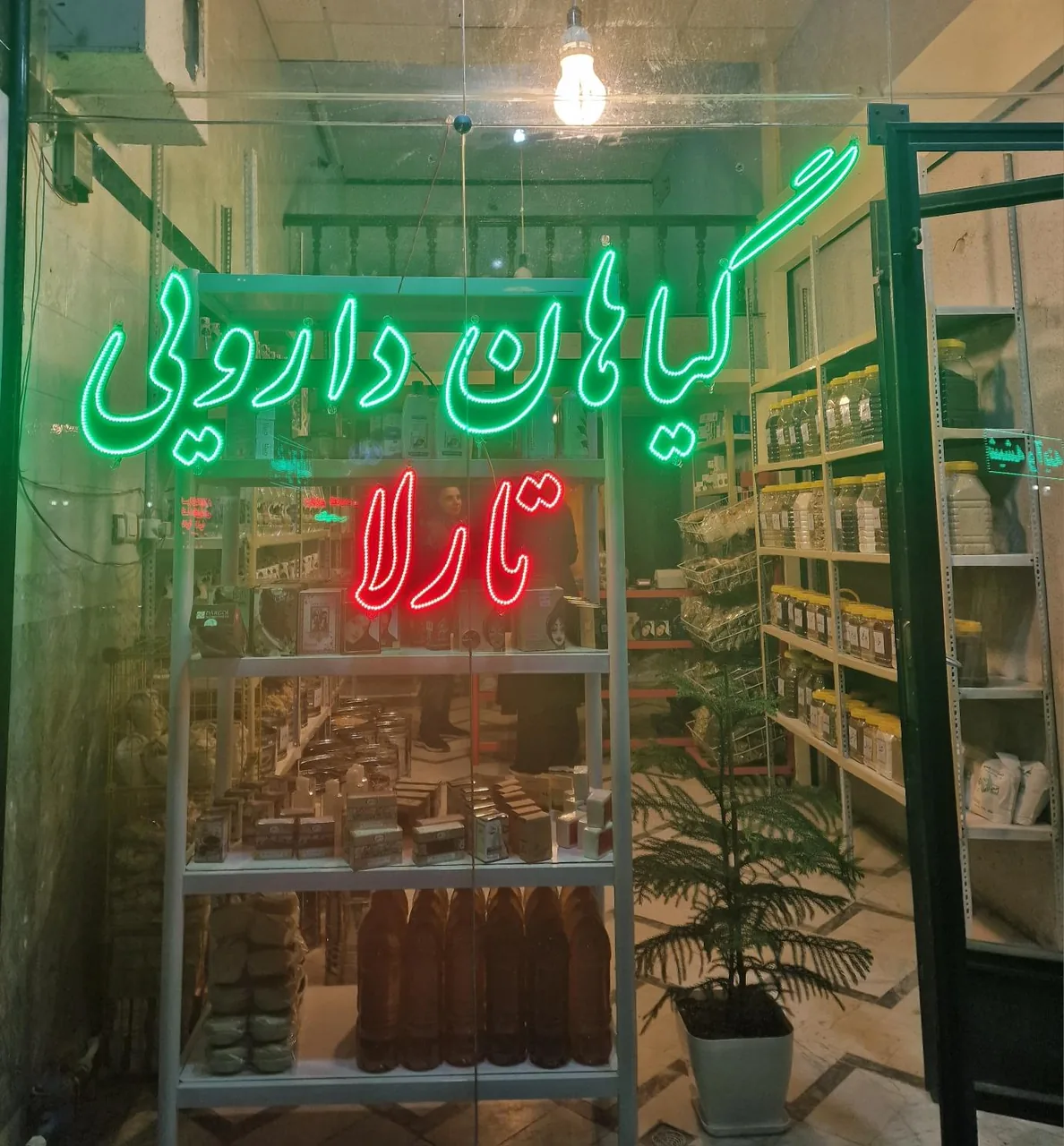 گیاه دارویی تارلا
