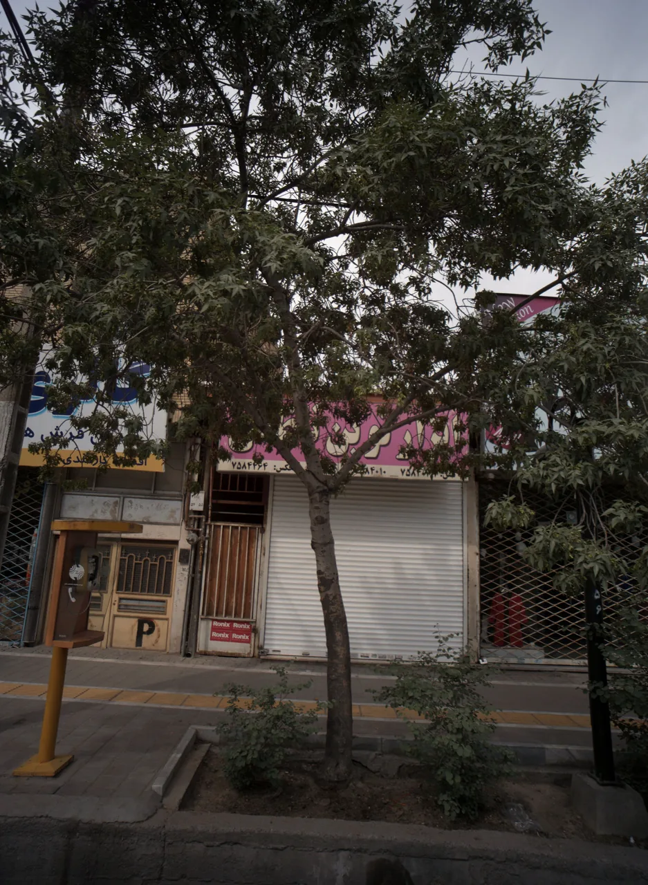 ابزار نوین ناظمی