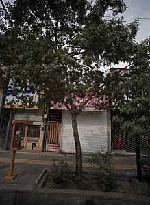ابزار نوین ناظمی
