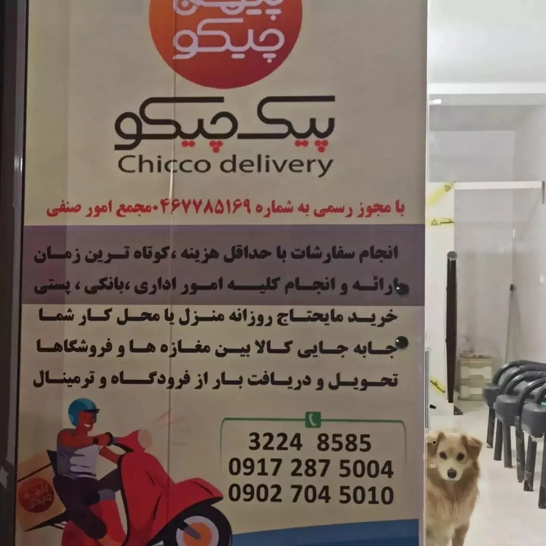 پیک موتوری چیکو - تصویر 2