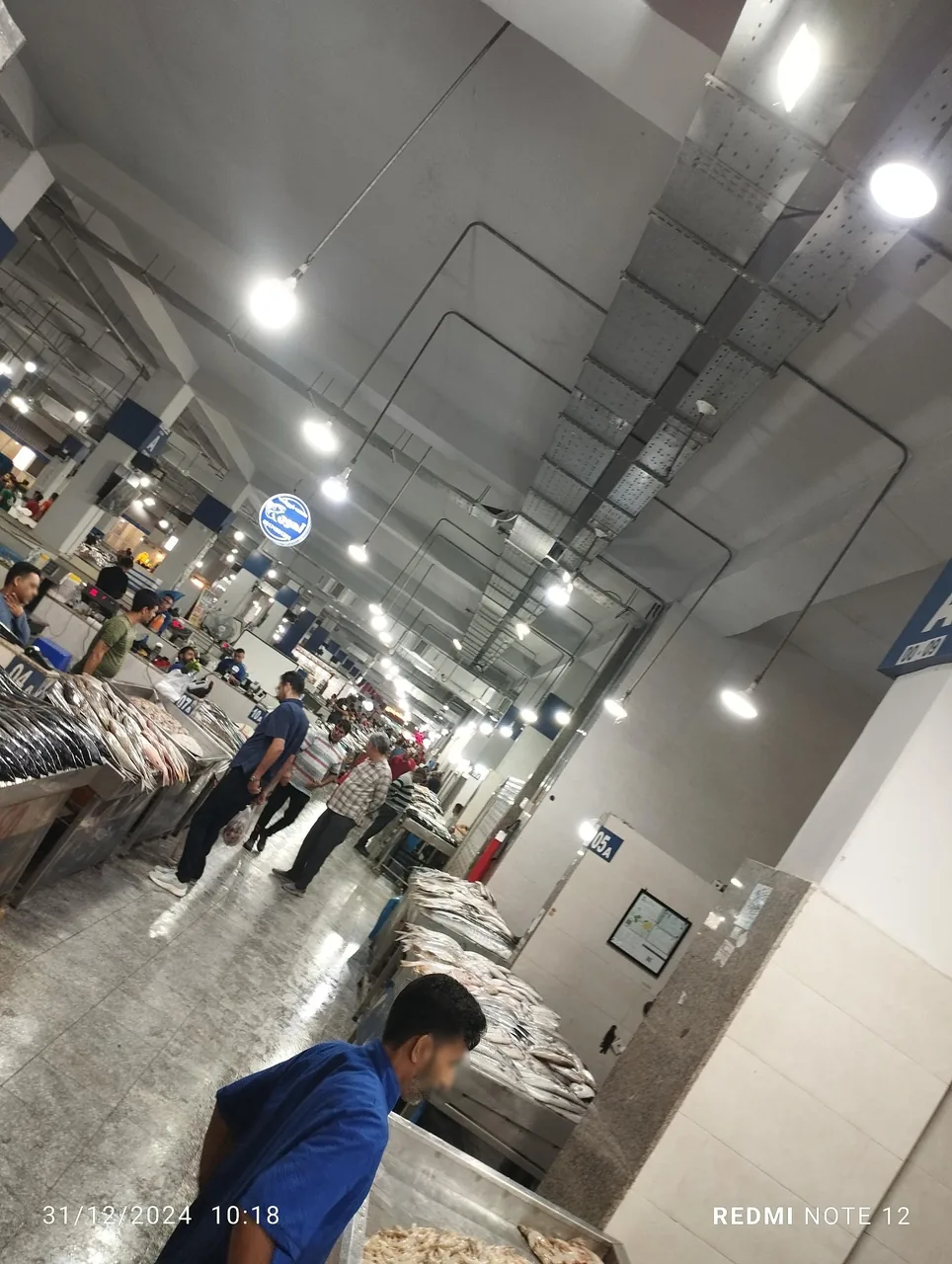 ماهیران