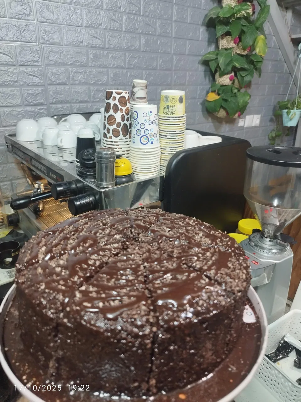 کافه صبحانه خوری پاندا - تصویر 4