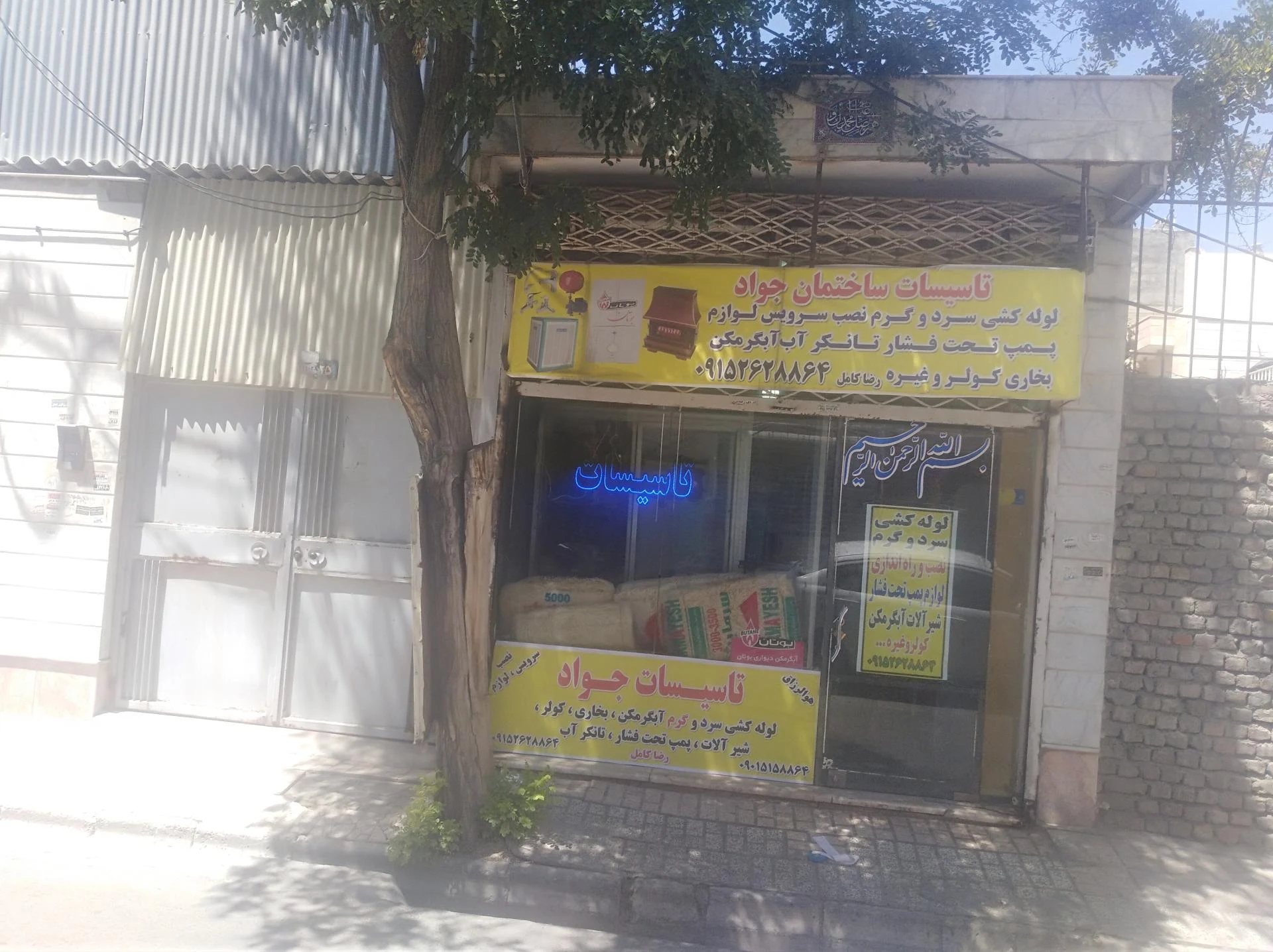 رطب زمرد - تصویر 2