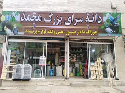 دانه سرای اصغرزاده