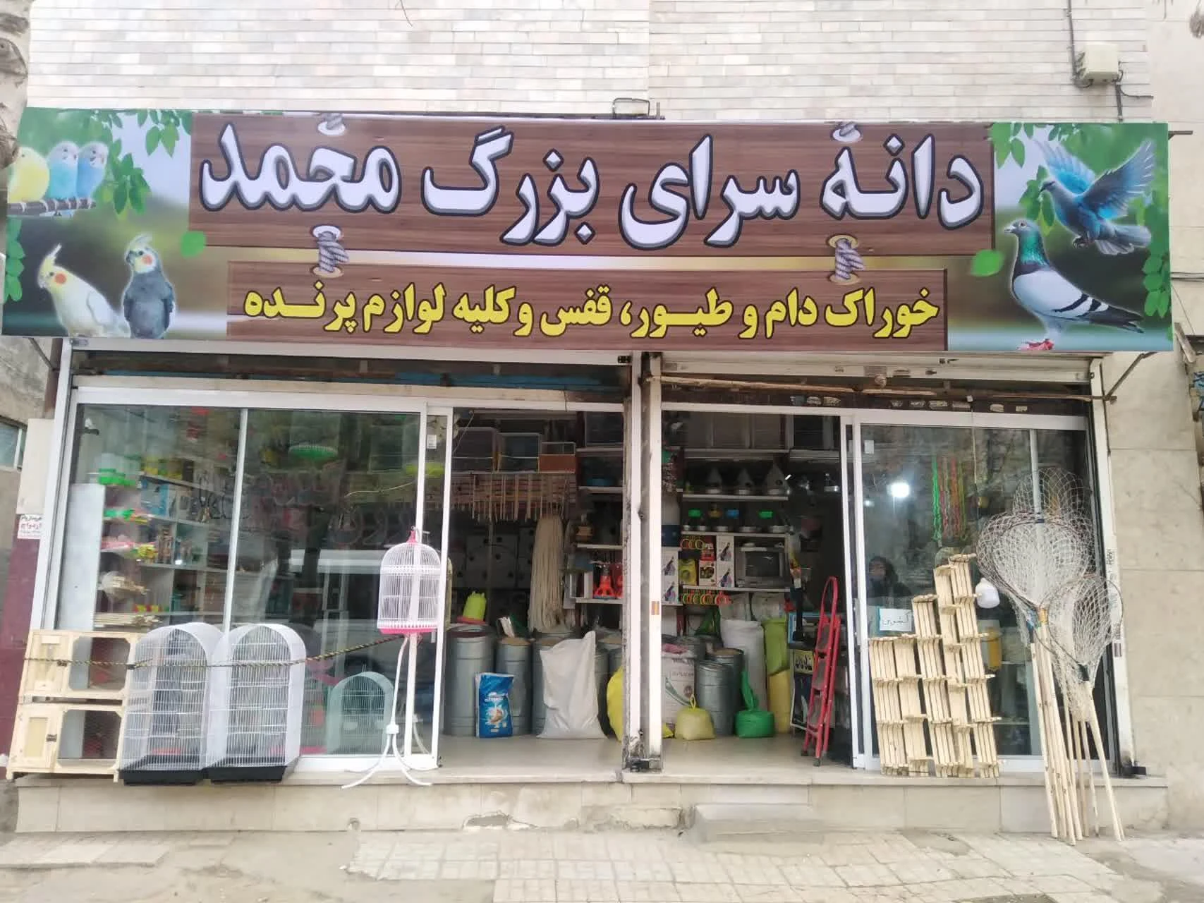 دانه سرای اصغرزاده