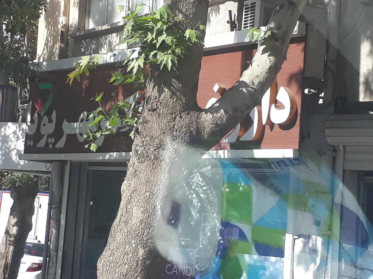 داروخانه دکتر مهرپویا - تصویر 2