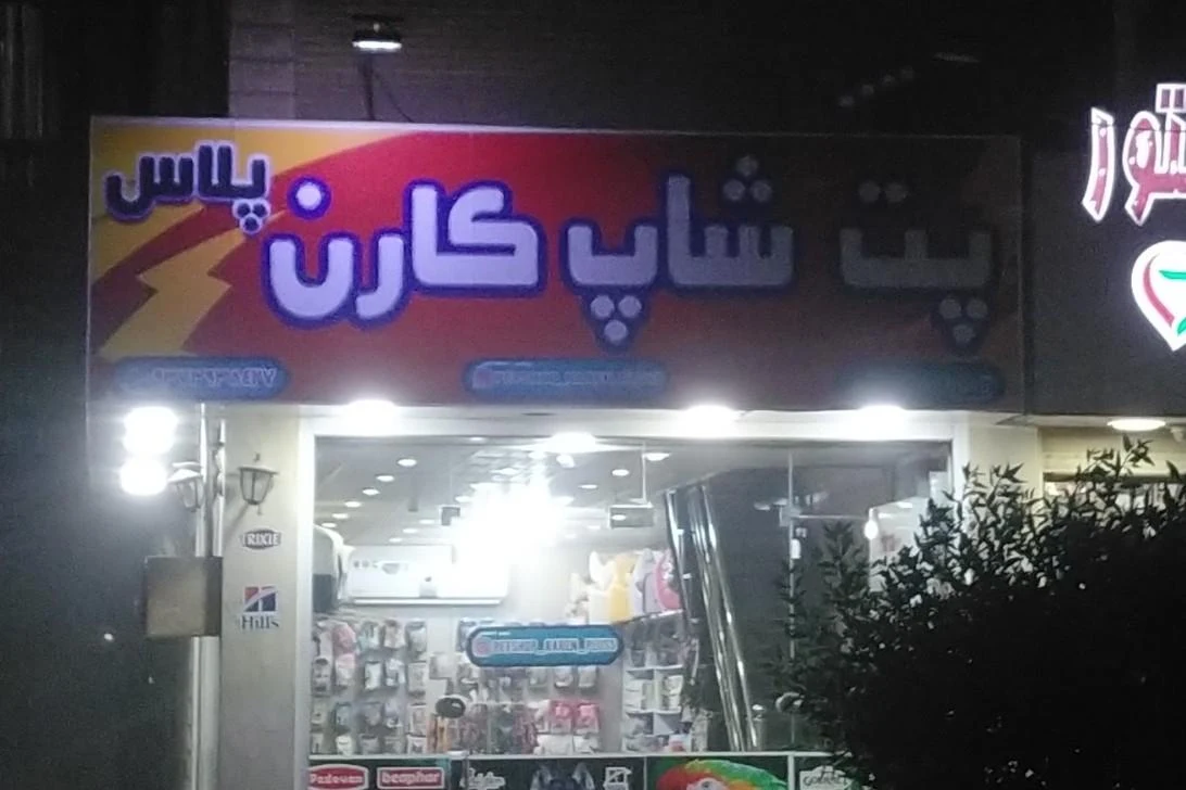 پرنده سرا جزایر قناری - تصویر 3