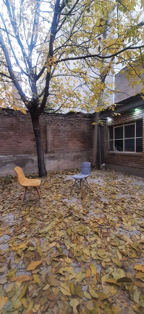 خانه مشاوره - تصویر 4