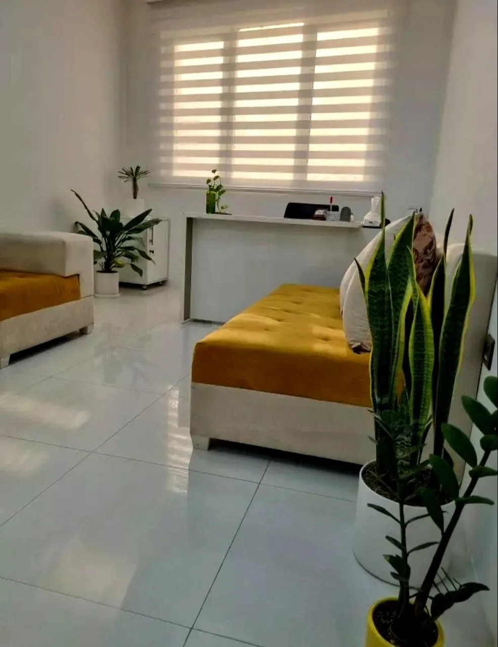 مطب دندانپزشکی دکتر سعیده دارشی