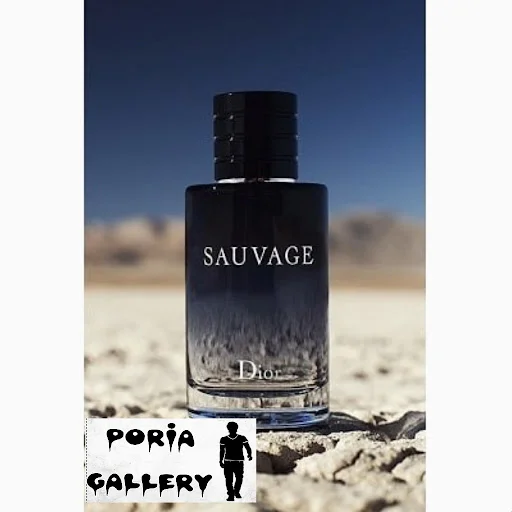 های برگر Hi Burger