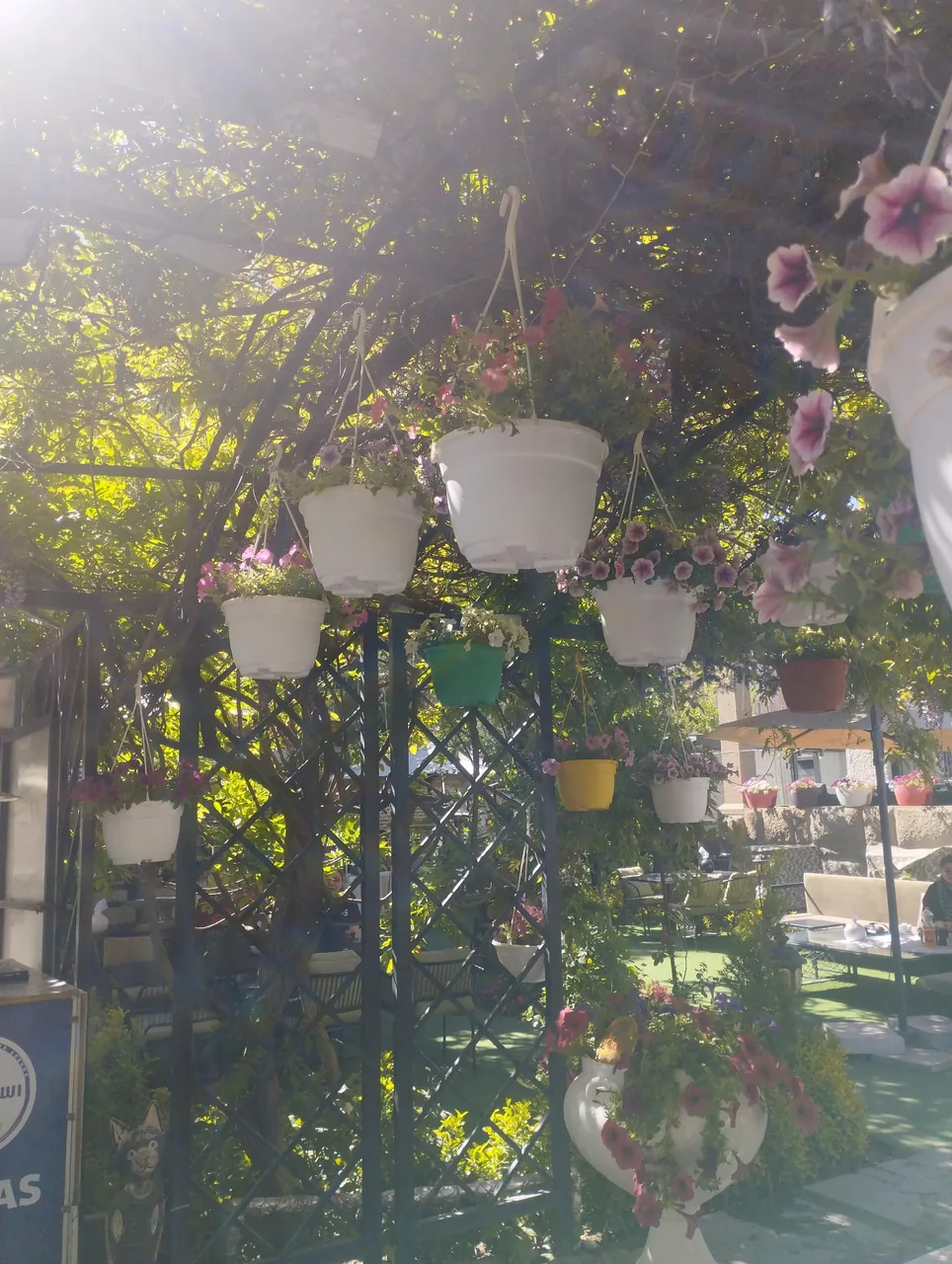 اسپی یاس - تصویر 5
