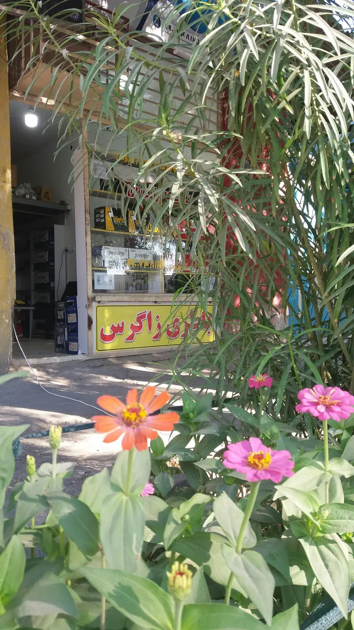 باطری فروشی زاگرس (موسیوند ) - تصویر 2