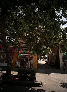 خواربار فروشی