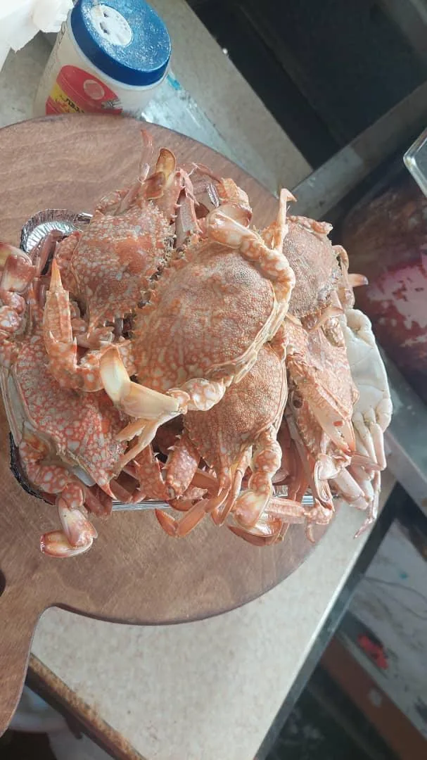 کلبه ماهی ومیگو خوران جنوب - تصویر 2
