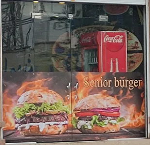سناتور برگر