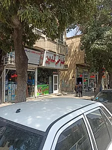 طباخی تدین