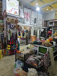 خرازی ثمین