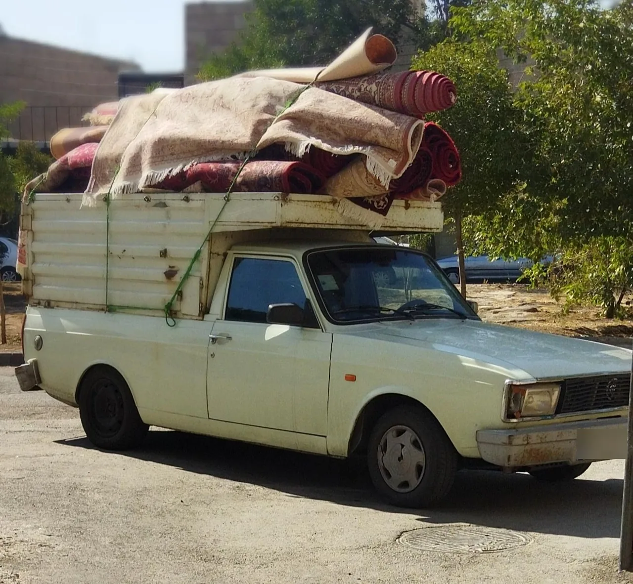 قالیشویی شمس - تصویر 2