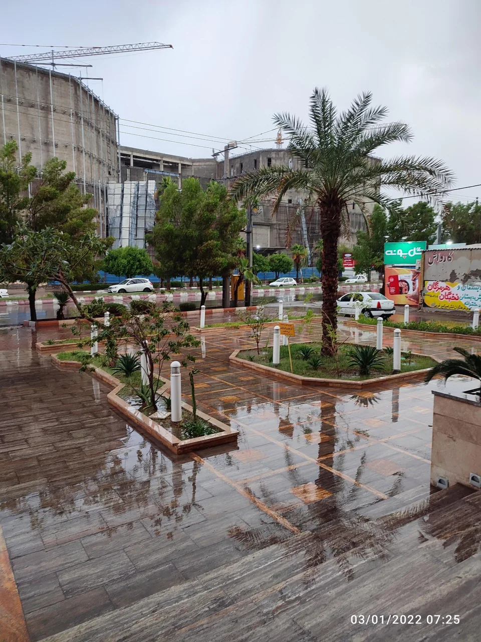 سرپرستی بیمه ایران - تصویر 5