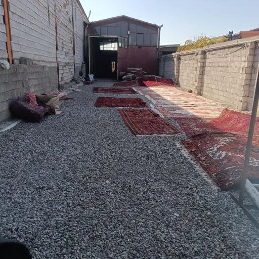 قالیشویی دقیق