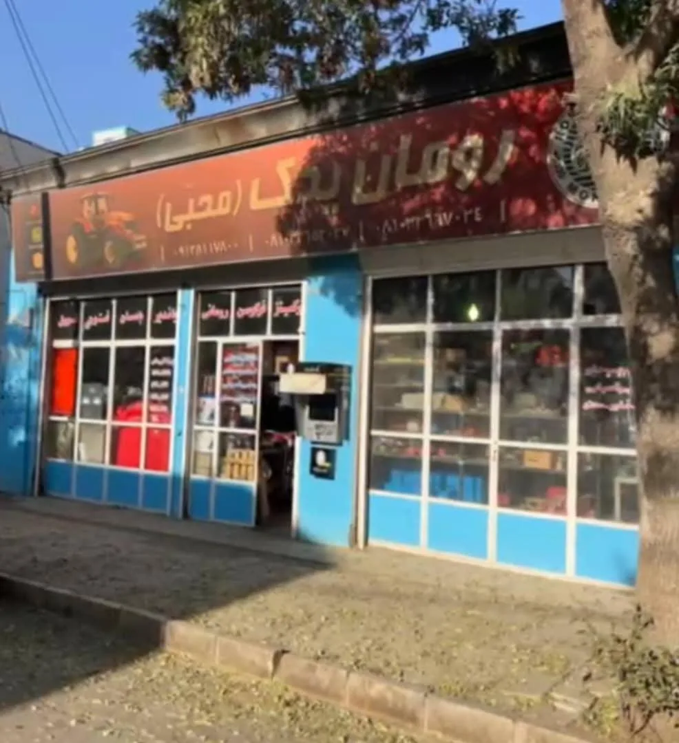 رومان یدک(محبی)