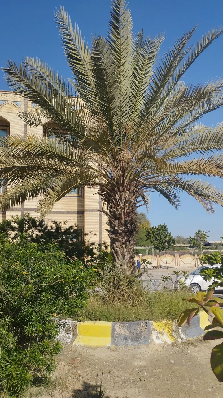 مرکز آموزشی رفاهی فرهنگیان - تصویر 5