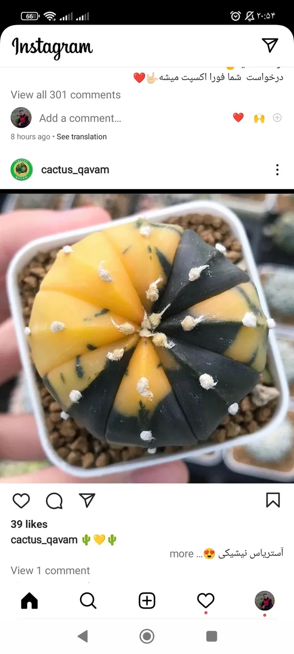 بهشت کاکتوس اردبیل