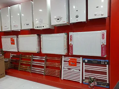 نمایندگی بوتان صباغی