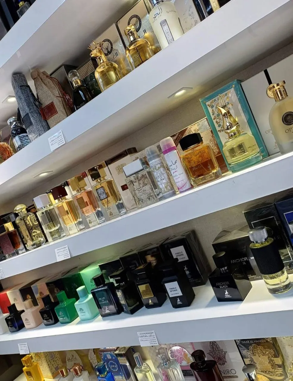 عطر و ادکلن کنجل - تصویر 3