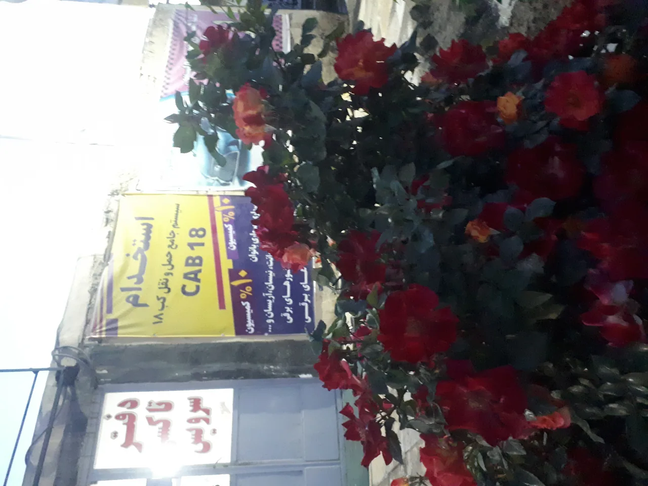 آژانس رهرو (تاکسی تلفنی)