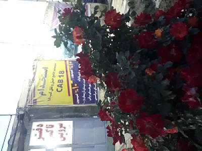 آژانس رهرو (تاکسی تلفنی)
