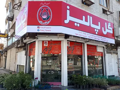 گلفروشی پالیز