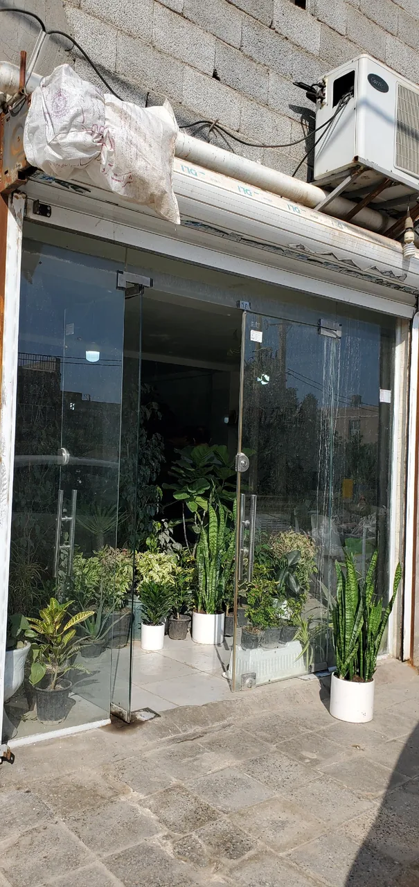 گلفروشی کوروش