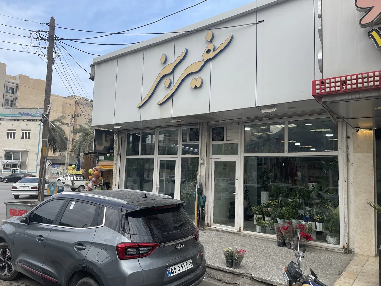 گل فروشی سفیر سبز