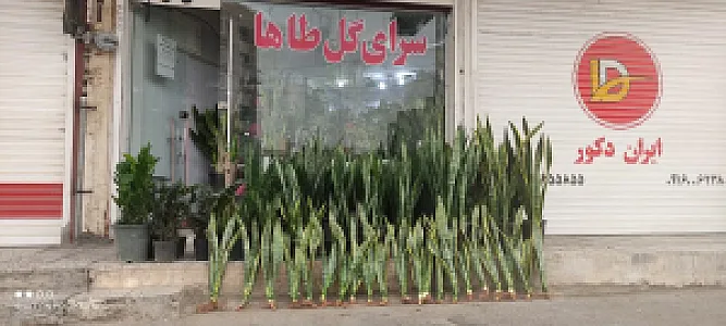 سرای گل طاها