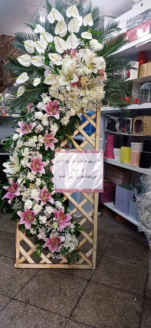 گلسرای آمالیس