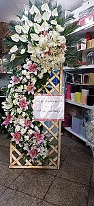 گلسرای آمالیس